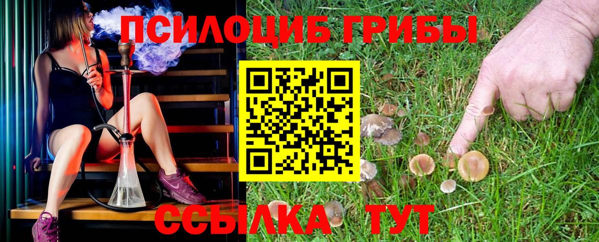 Усть-Джегута  Псилоцибиновые грибы Psilocybine cubensis  Вход с VPN 